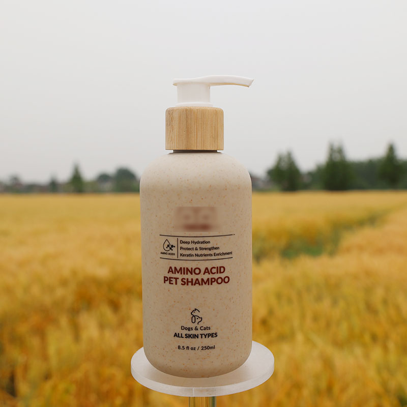 全球禁塑令,塑料工廠如何轉型成綠色生產